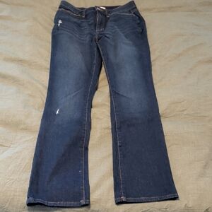 LC Lauren Conrad High Waist Boot cut Jeans